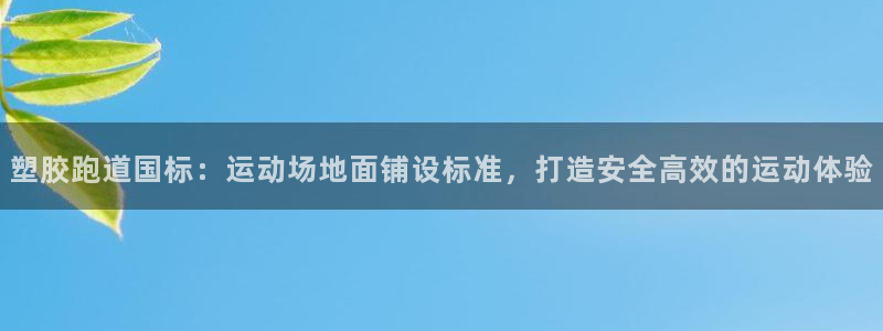 红足一生世:塑胶跑道国标:运动场地面铺设标准,打造安全高效的运动体验