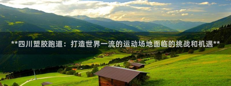 红姐现场直播开奖记录:**四川塑胶跑道:打造世界一流的运动场地面临的挑战和机遇**