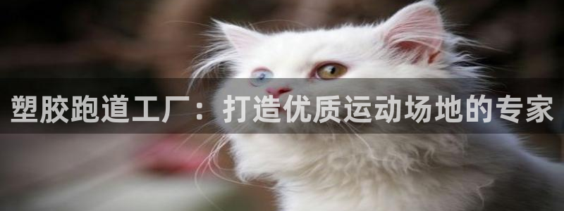 红足一球:塑胶跑道工厂:打造优质运动场地的专家