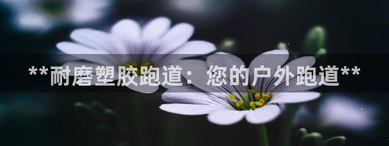 红足1世足球比分：**耐磨塑胶跑道：您的户外跑道**