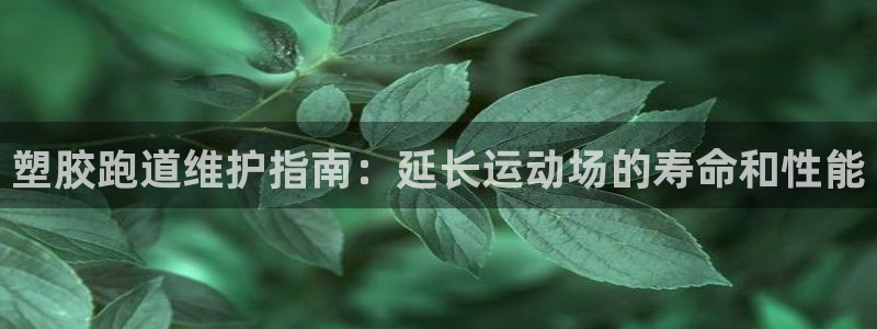 红足1世手机板