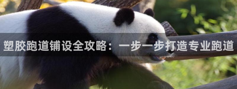 红足一球