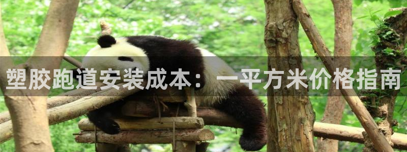 红足1世手机版下载