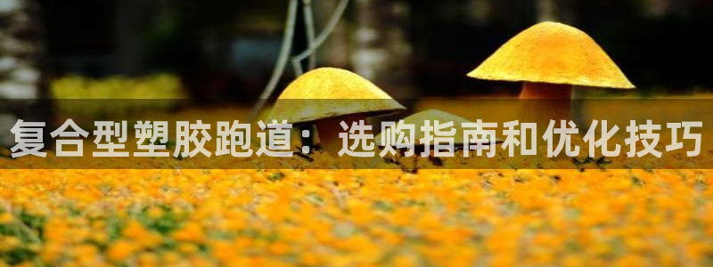 红足一1世即时比分