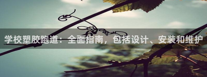 百度红足一1是什么样子的