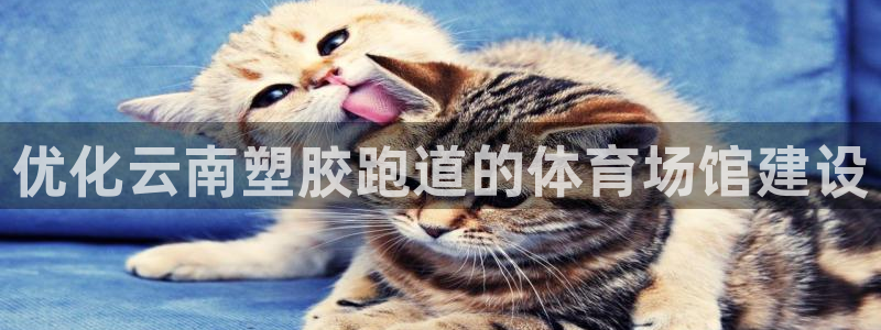 红足1一世足球手机