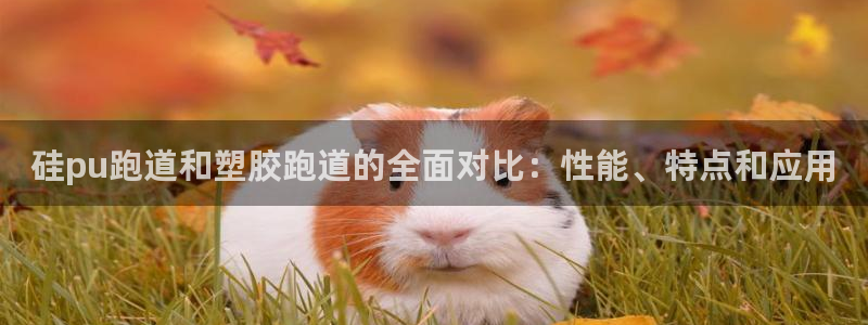777814红·足一世比分