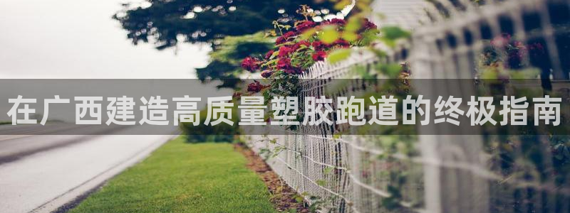 666814红·足一世比分