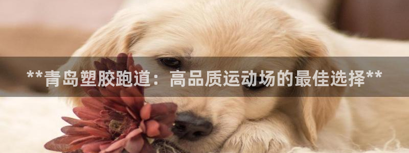 红足1世足球比分
