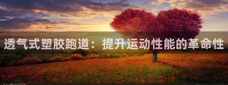 红足1一世足球手机