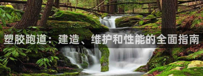 红足一1世官网比分