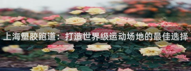 红足1世足球