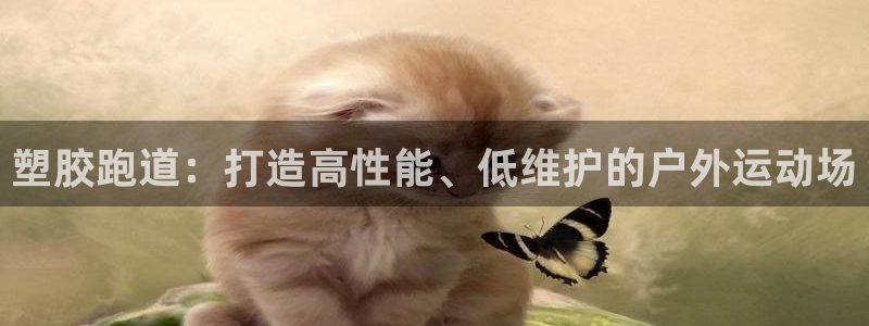 红足一1世平台