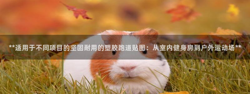 百度红足一1使用说明