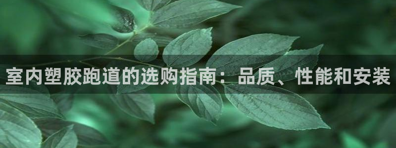 红足一1世皇冠地址