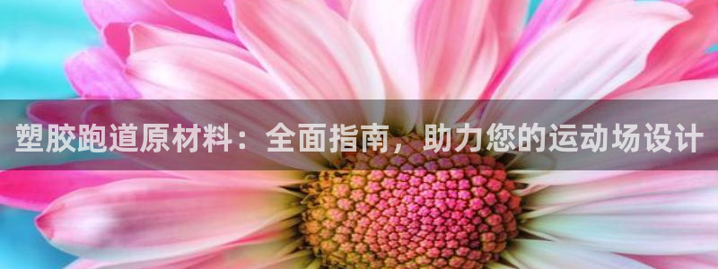 红足一1世手机版新皇冠