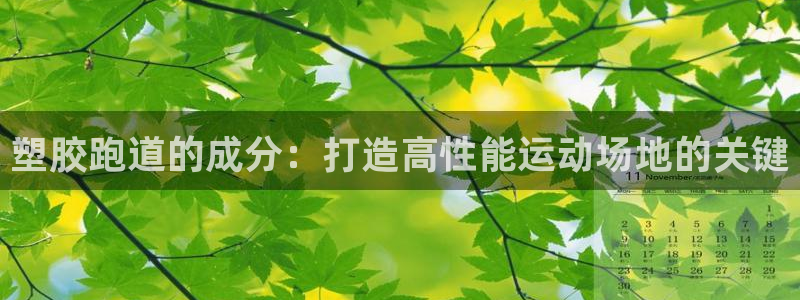 红足一1世即时比分