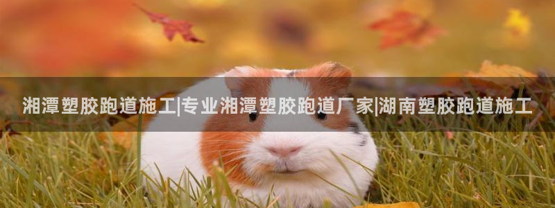 红足一一世足球网开奖记录