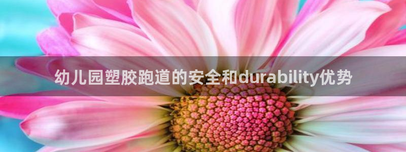 红足一一世足球网开奖记录