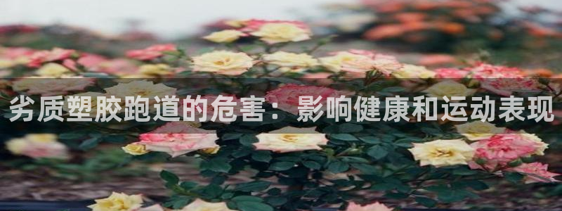 红足l一世开奖现场62ty