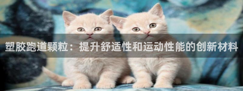 红足一一世