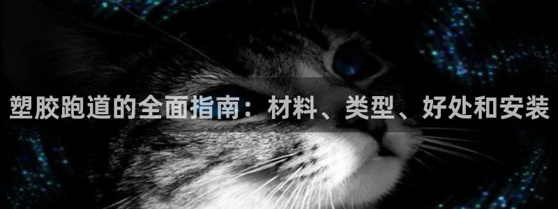 红足1世足球网址大全
