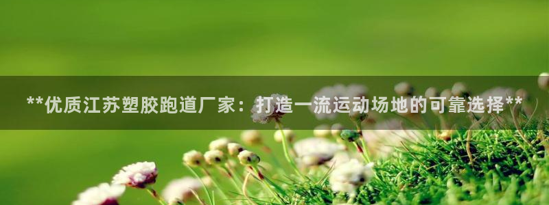 百度红足一1使用说明