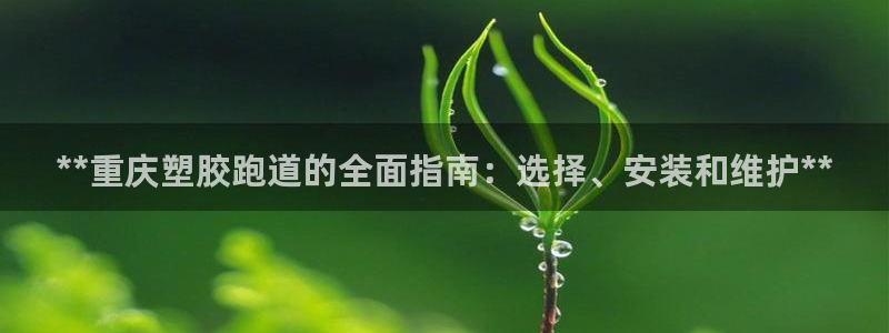 红足一1世66814新宝:**重庆塑胶跑道的全面指南:选择、安装和维护**
