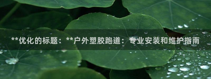 红足1世1站:**优化的标题:**户外塑胶跑道:专业安装和维护指南