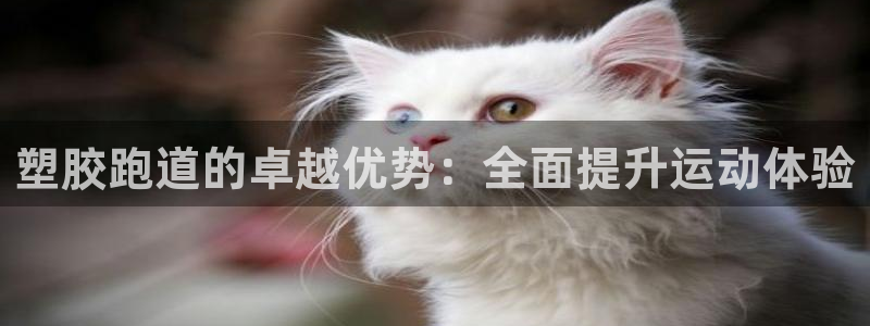 红足1世手机下载:塑胶跑道的卓越优势:全面提升运动体验