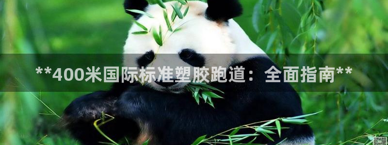 红足1一世开奖版:**400米国际标准塑胶跑道:全面指南**