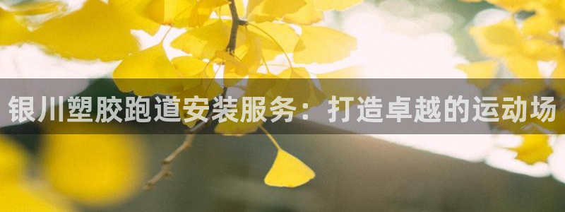 红足一1世官网足球推荐真人:银川塑胶跑道安装服务:打造卓越的运动场