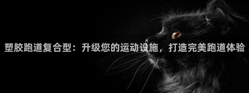 百度红足一1世:塑胶跑道复合型:升级您的运动设施,打造完美跑道体验