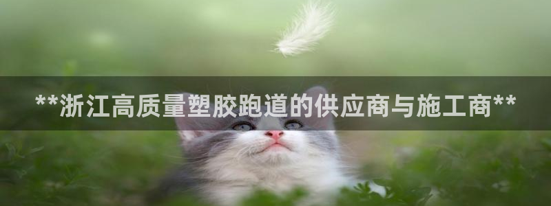 红足一1世皇冠地址:**浙江高质量塑胶跑道的供应商与施工商**