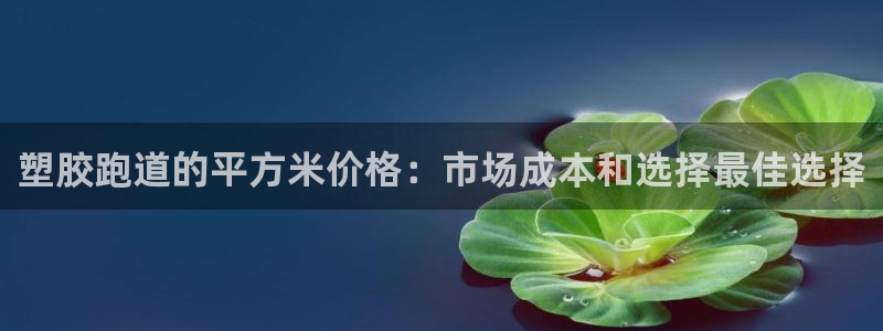 红足一1世:塑胶跑道的平方米价格:市场成本和选择最佳选择