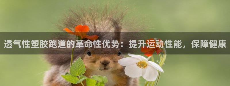 红足1世1站：透气性塑胶跑道的革命性优势：提升运动性能，保障健康