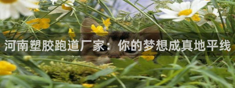 红足1世足球比分 localhost：河南塑胶跑道厂家：你的梦想成真地平线