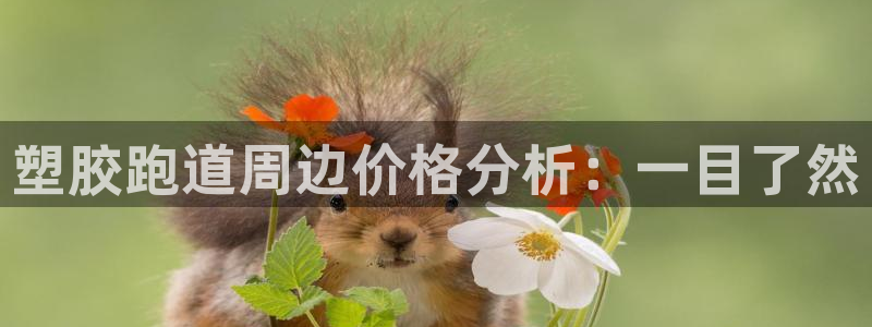 红足一1世手机版新皇冠:塑胶跑道周边价格分析:一目了然