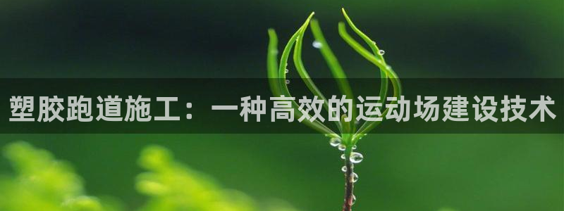 红足一1世比分网：塑胶跑道施工：一种高效的运动场建设技术