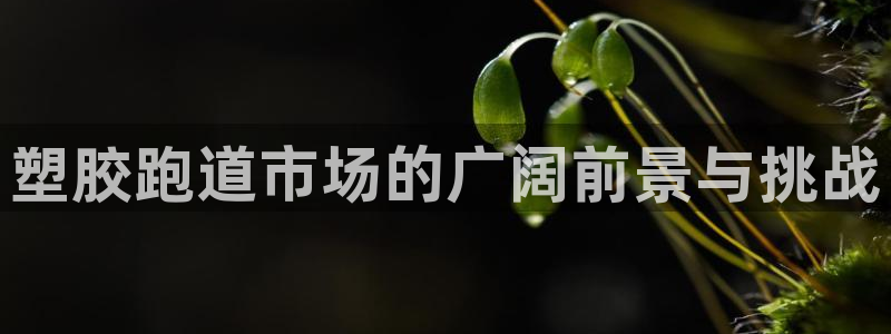 红足 世足球手机网:塑胶跑道市场的广阔前景与挑战