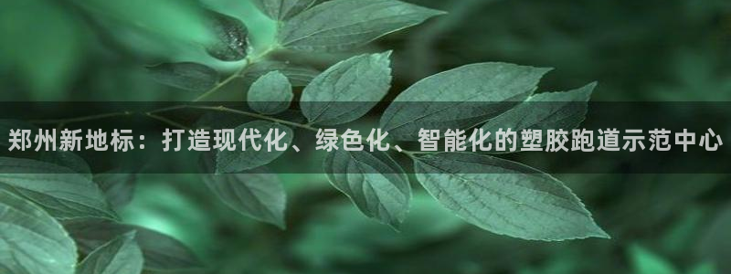 红足一1世66814新宝：郑州新地标：打造现代化、绿色化、智能化的塑胶跑道示范中心