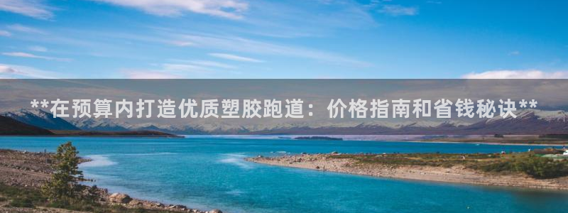 百度红足一1是干什么的：**在预算内打造优质塑胶跑道：价格指南和省钱秘诀**