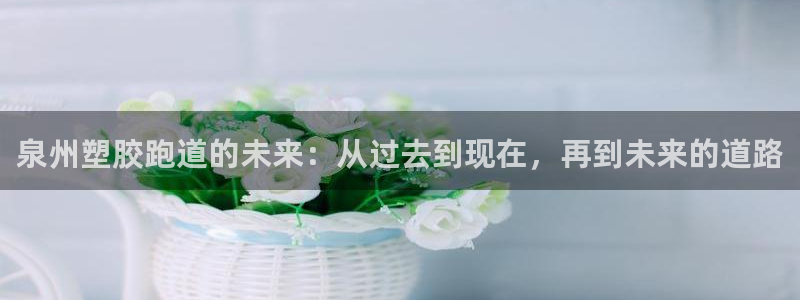 红足足球网：泉州塑胶跑道的未来：从过去到现在，再到未来的道路