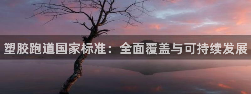 红姐现场直播开奖记录：塑胶跑道国家标准：全面覆盖与可持续发展