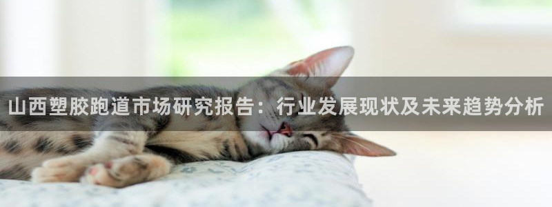 红足一1世66814新宝：山西塑胶跑道市场研究报告：行业发展现状及未来趋势分析