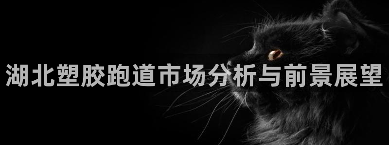 红足1世足球网址大全:湖北塑胶跑道市场分析与前景展望