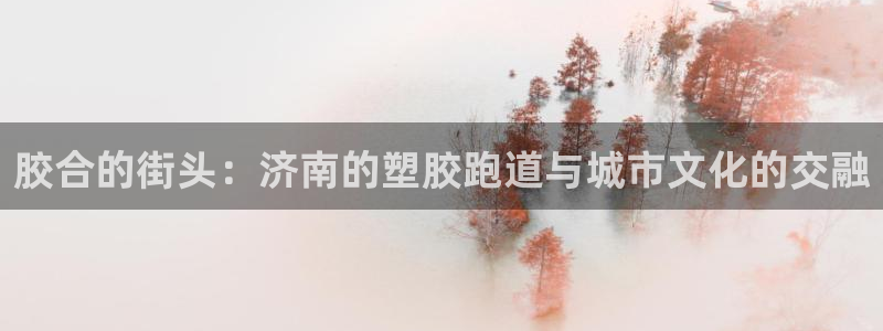 777814红·足一世:胶合的街头:济南的塑胶跑道与城市文化的交融