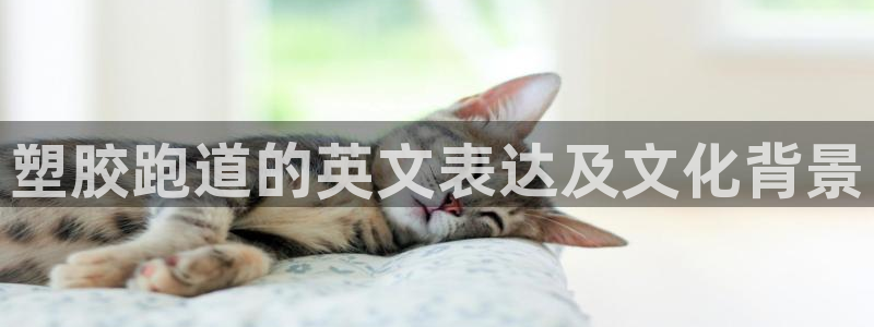 红足一:塑胶跑道的英文表达及文化背景