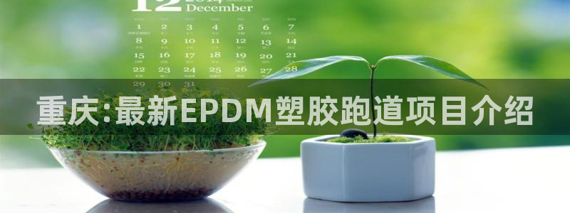 红足一1世比分球探:重庆:最新EPDM塑胶跑道项目介绍
