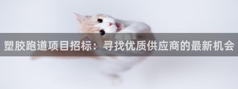 333814红·足一世比分：塑胶跑道项目招标：寻找优质供应商的最新机会